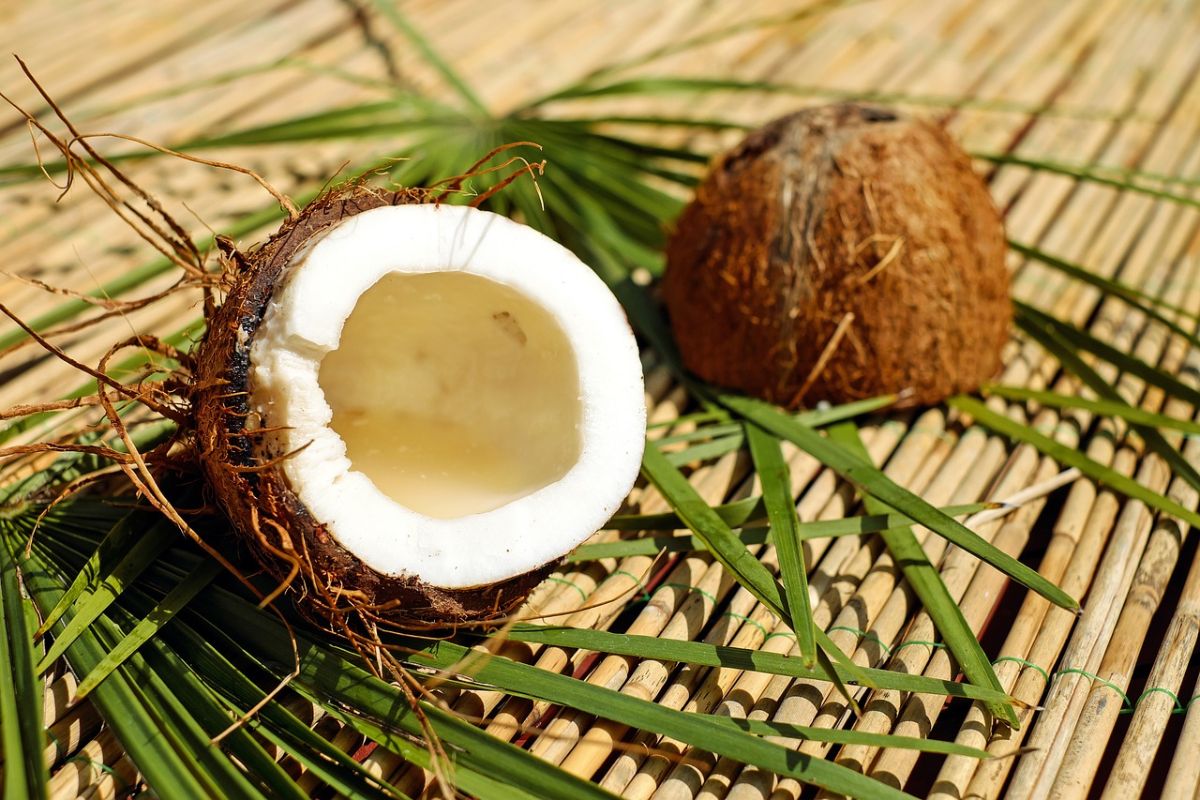 Користь кокосів — 7 доведених властивостей для організму людини, а також протипоказання і застосування