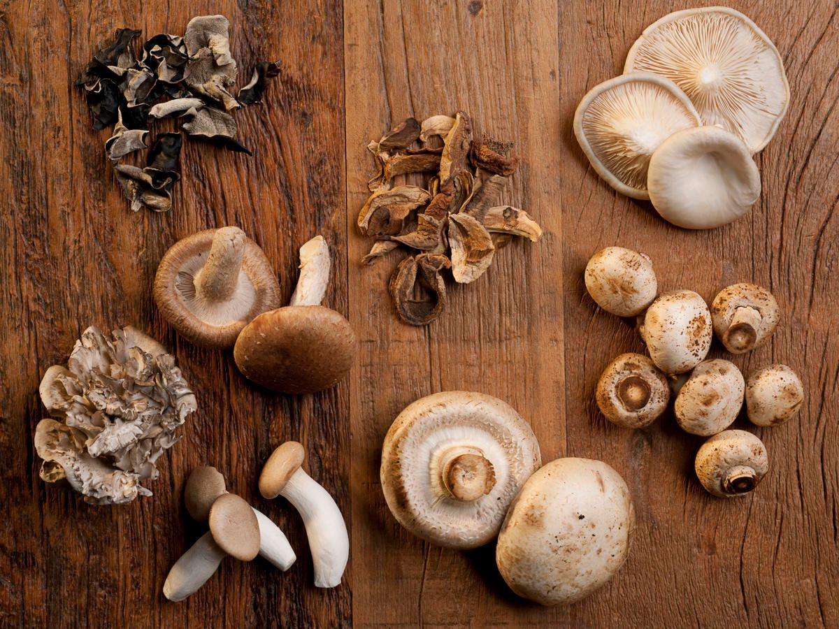 Користь і шкода грибів — 5 доведених властивостей для людини, а також поради з приготування і прийому