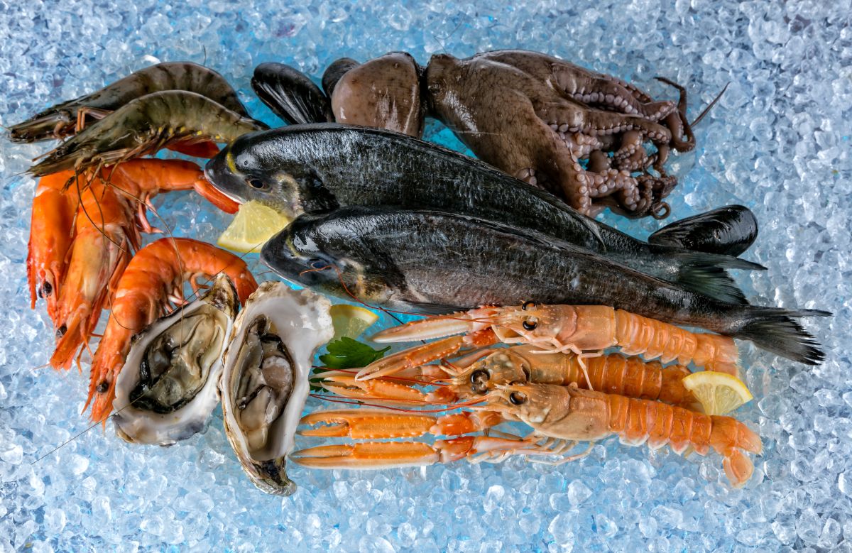 8 найкорисніших морепродуктів: які з них найкраще впливають на організм людини