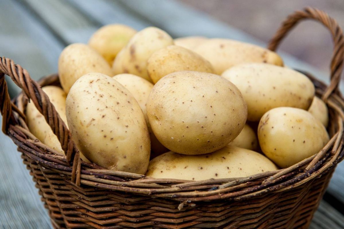 Користь і шкода картоплі — 7 фактів про його вплив на здоров'я людини і протипоказання