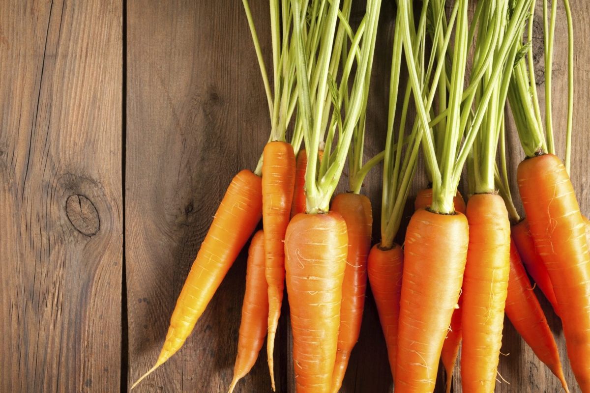Користь моркви — 10 доведених властивостей для здоров'я організму