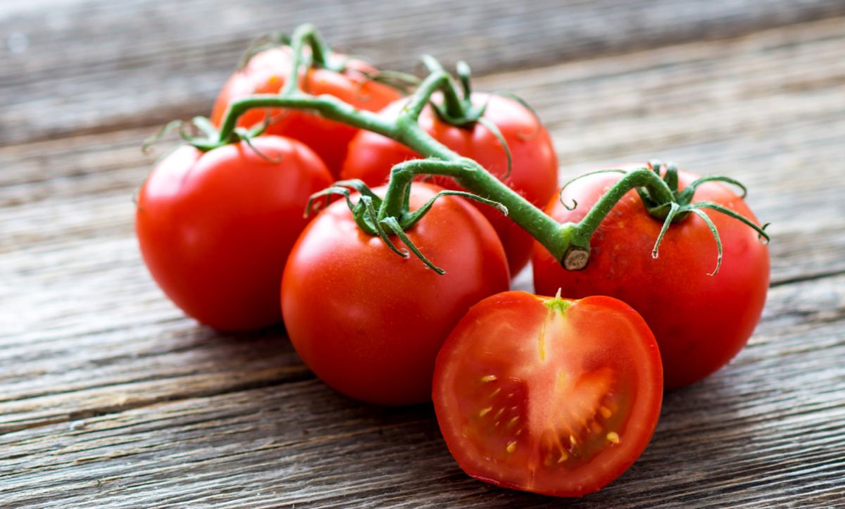Користь і шкода помідорів — 10 фактів про вплив на організм людини, склад і протипоказання