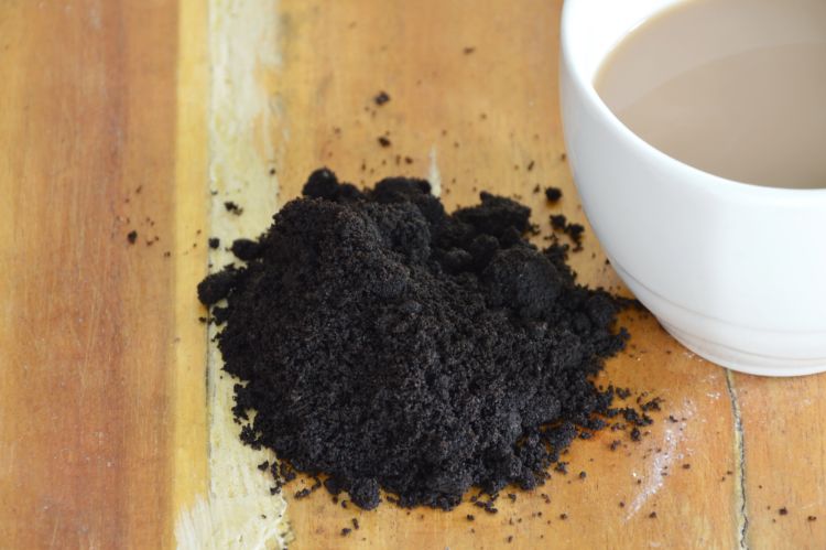 Як використовувати кавову гущу-10 способів застосування в якості добрива в городі, в косметології, фарбування