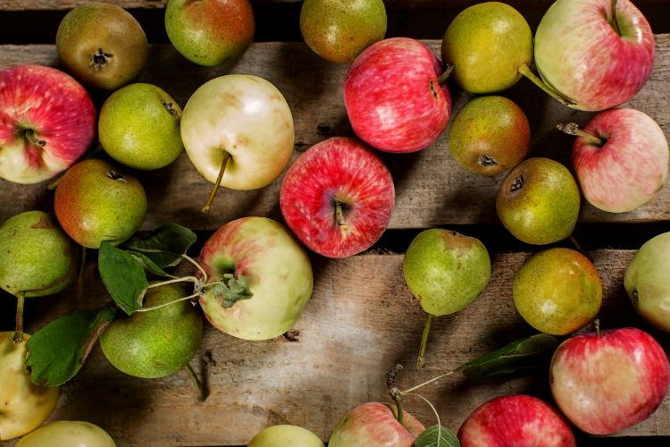 Де міститься пектин – таблиця наявності в ягодах, фруктах та інших продуктах харчування