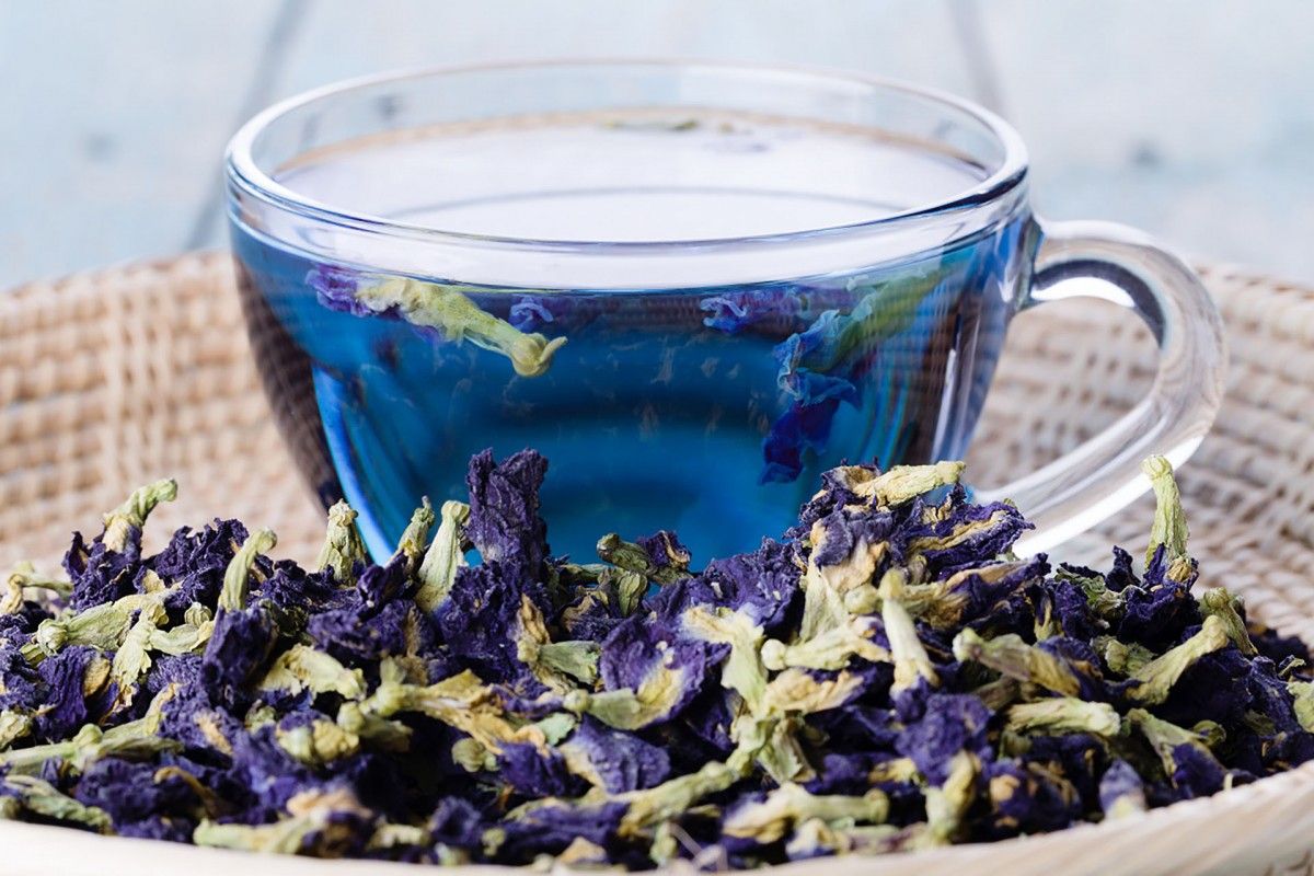 5 корисних властивостей синього чаю анчан з Таїланду, а також його шкоду і протипоказання