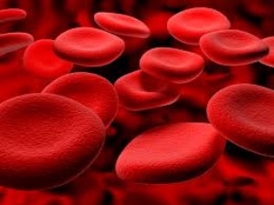 9 продуктів, що відновлюють кров при втраті: які з них потрібно їсти після донорства або операції??