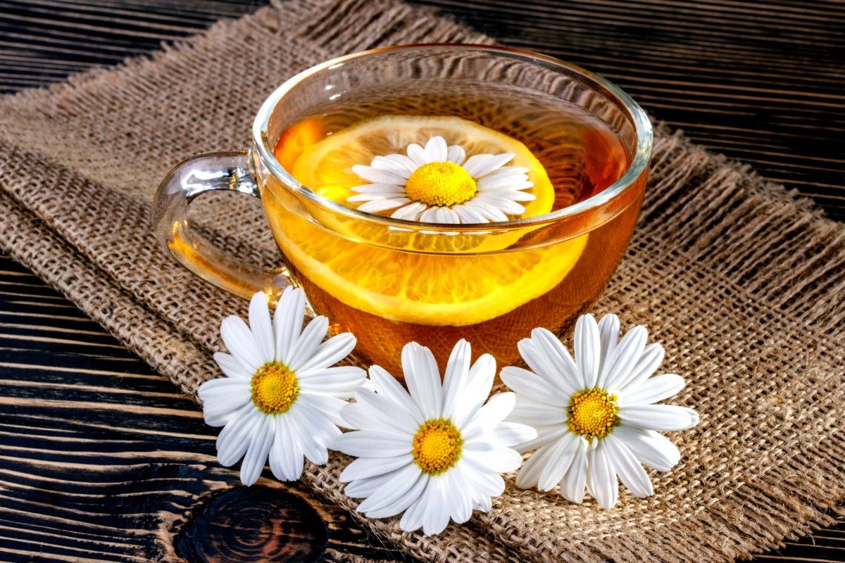 Ромашковий чай — 7 фактів про користь і шкоду для організму, застосування і протипоказання