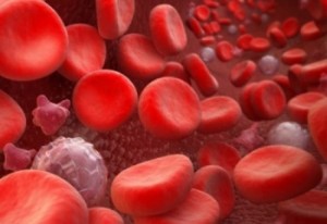 Харчування і тромбоцити в крові-чи дійсно можна підвищувати і знижувати їх рівень за допомогою раціону??