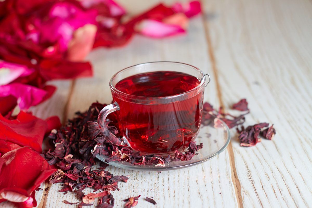 Чим корисний чай каркаде — 7 властивостей для організму людини, склад і застосування