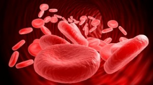 7 продуктів, що підвищують еритроцити в крові: яка дієта сприяє збільшенню їх обсягу в крові, а яке харчування знижує їх кількість??