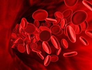 Дієта при підвищеному гемоглобіні — 8 заборонених продуктів і особливості харчування для чоловіків і жінок при його високому рівні в крові