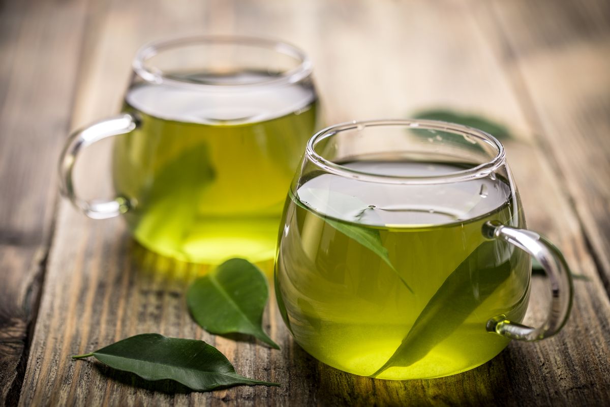 Зелений чай — 8 фактів про користь і шкоду для організму жінок і чоловіків, а також протипоказання