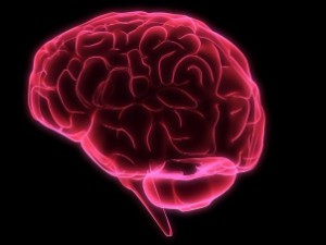10 продуктів для кровообігу головного мозку, що поліпшують пам'ять, а також яке харчування заборонено при порушеннях