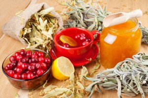 Журавлина, мед і часник для чищення судин — 4 рецепта приготування народних засобів на їх основі, можливі протипоказання