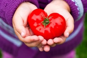 Чи корисні помідори для серця, судин і крові: як вони впливають на організм, чи можна їх їсти і пити томатний сік після інфаркту і при тромбозі??