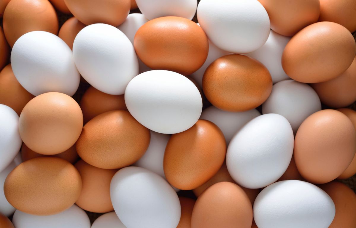 Яйця при схудненні — 5 фактів про користь, чи можна їх їсти на дієті і по скільки штук